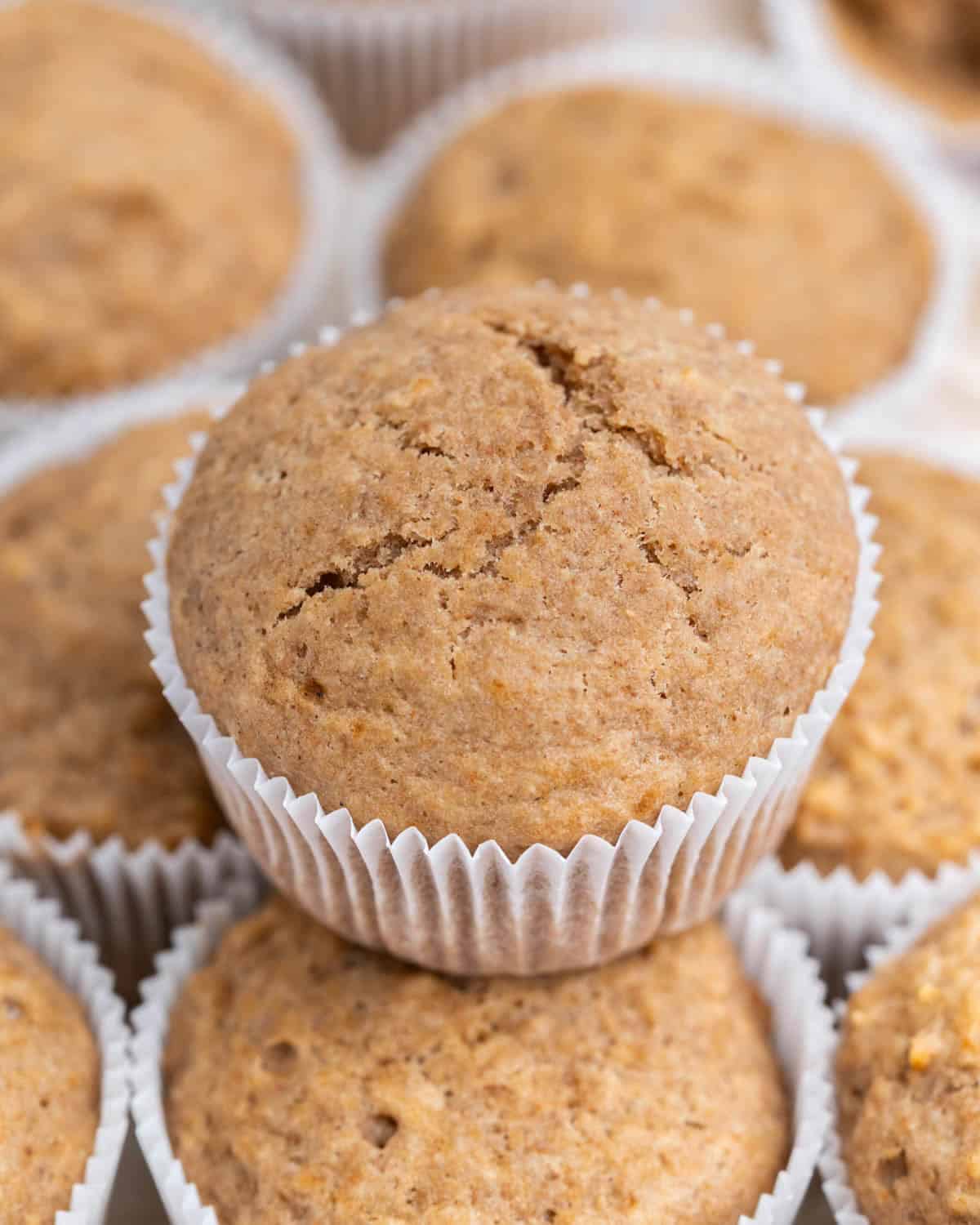 A pile of applesauce muffins in white paper liners.