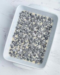 blueberries added over the batter in a dish.
