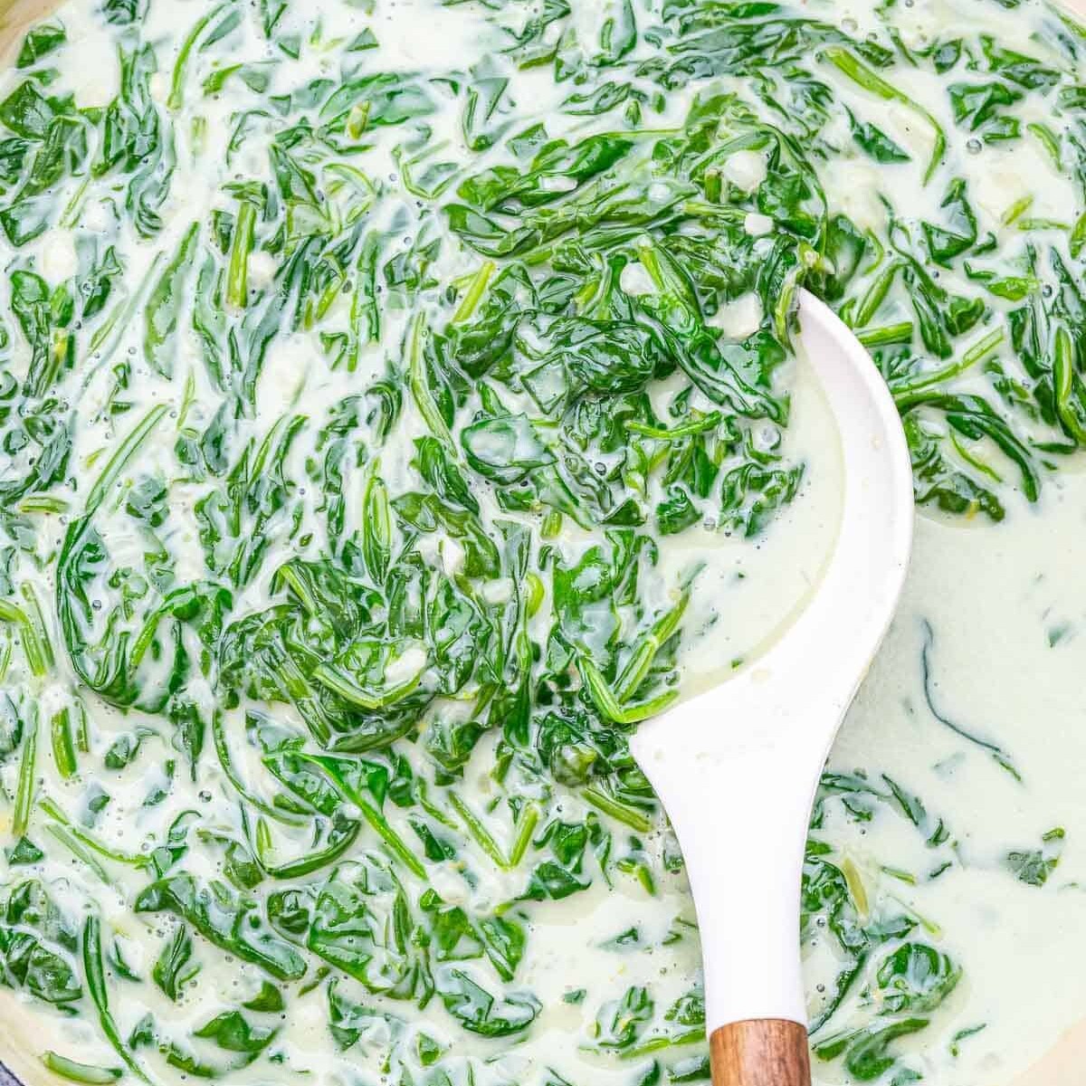 Creamed spinach in a bowl with a spoon in it.