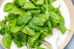 adding spinach over the creamy sauce in a pan.