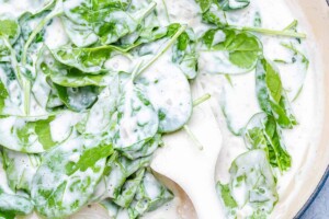 mixing the spinach with the creamy sauce.
