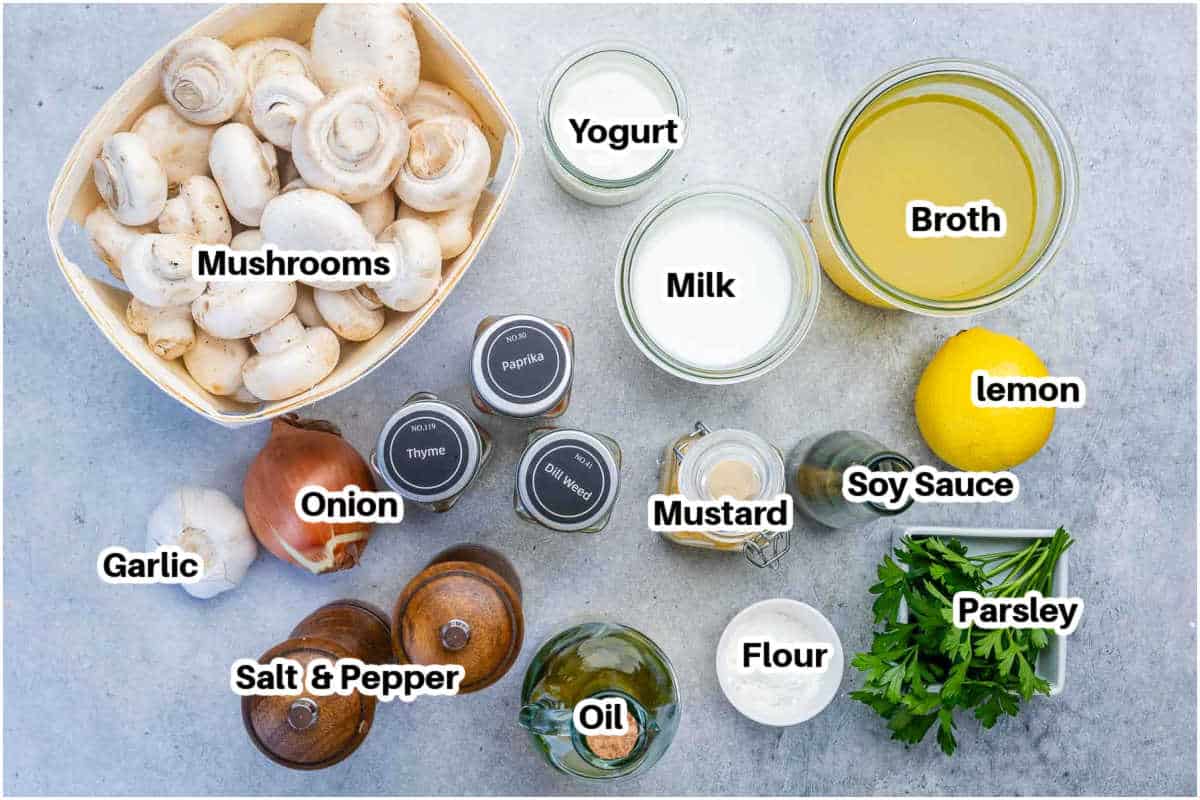 ingredients to make hungarian mushroom soup