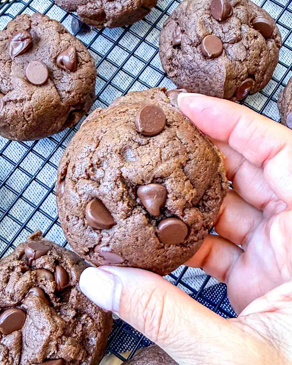 hand holding one chocolate protein cookie.