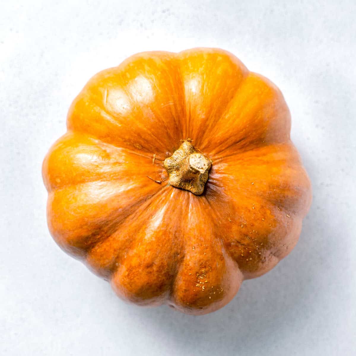 A single pumpkin laid out whole.